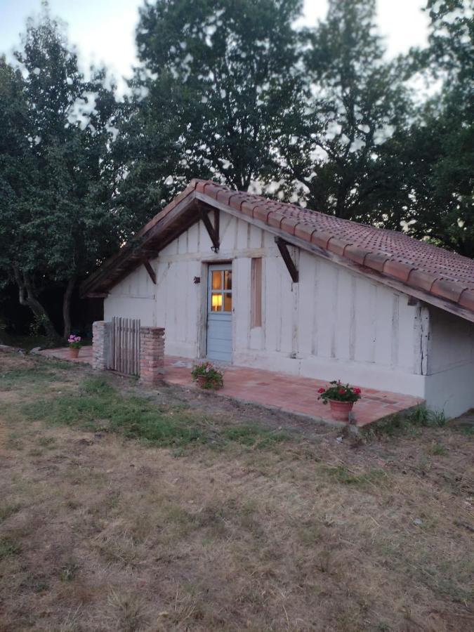 Maisonnette Vue Sur Foret Campagne  Экстерьер фото